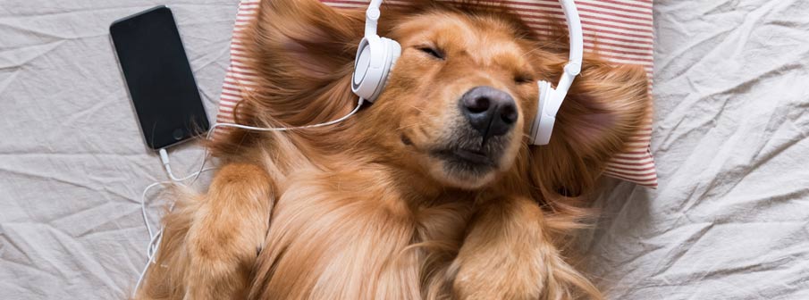Sleep Music - Why Some Sounds Help Us to Sleep